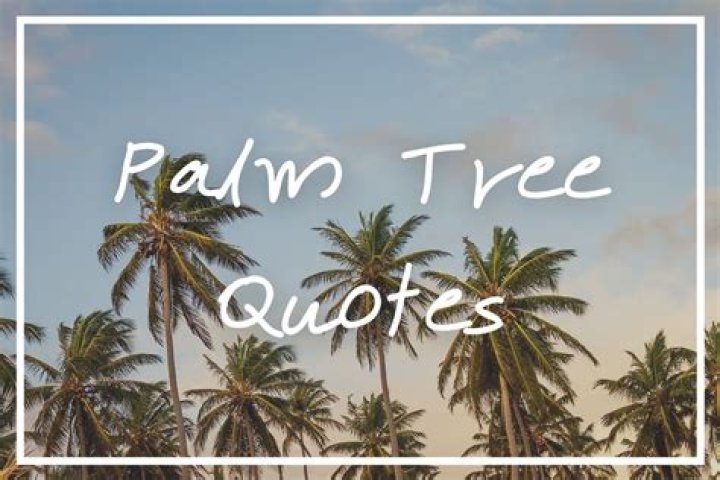 41 Quotes About Palm Trees