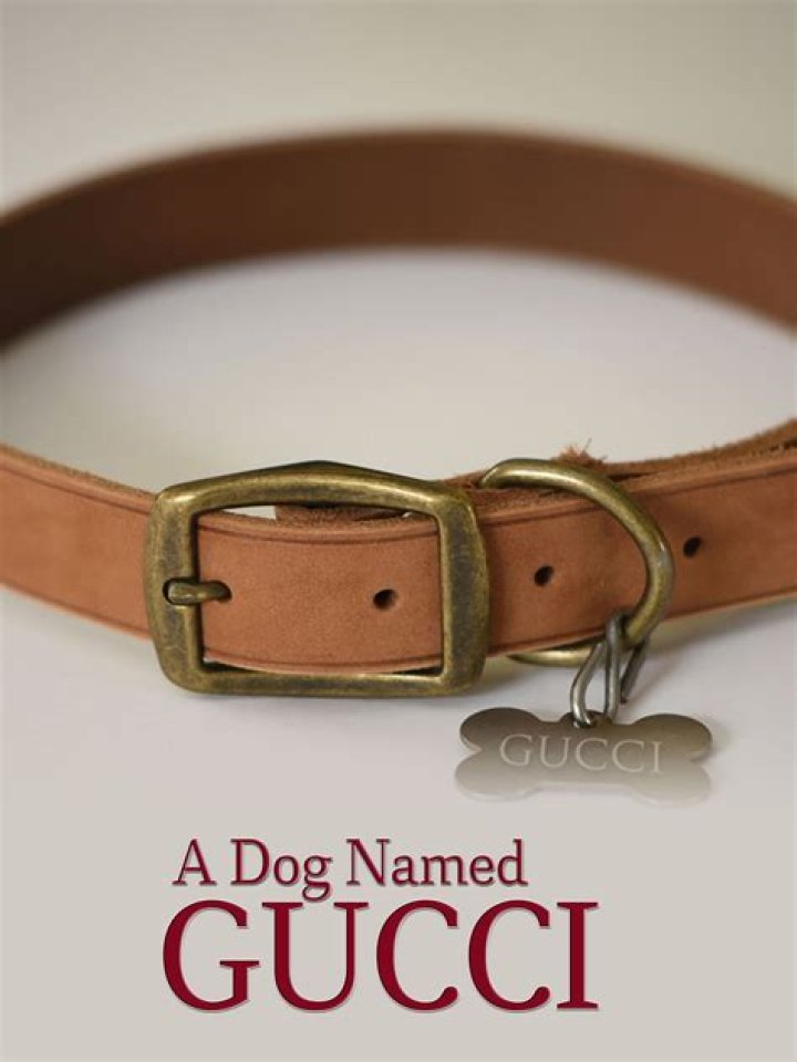 A chat with "A Dog Named Gucci" director Gorman Bechard