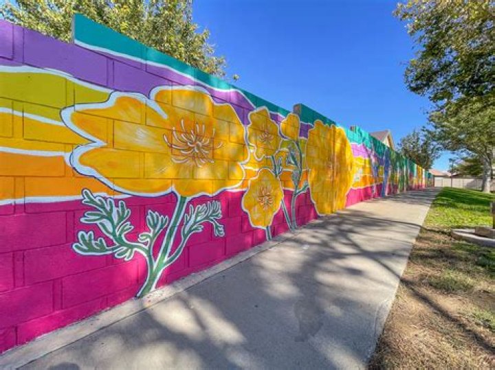 Artist 101: Vanja Radovanovic - CelebMix