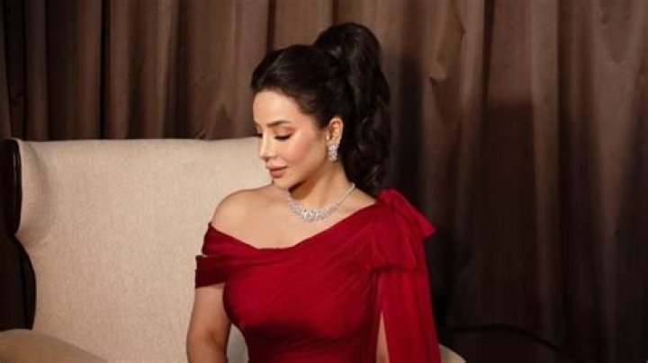 Aseel Omran Net Worth, Age, Height, Bio, Birthday, Wiki!
