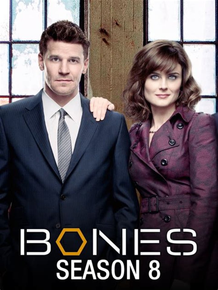 Bones RECAP 2/11/13: Season 8 Episode 15 “The Shot in the Dark”