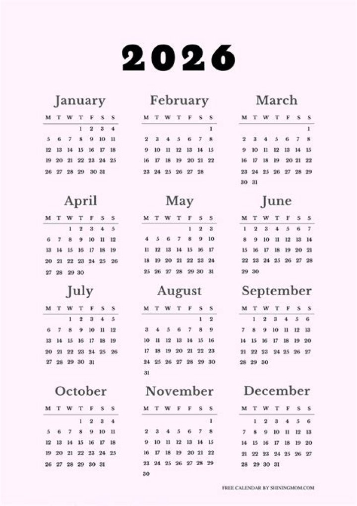 Casey Entertains Us For A Whole Year