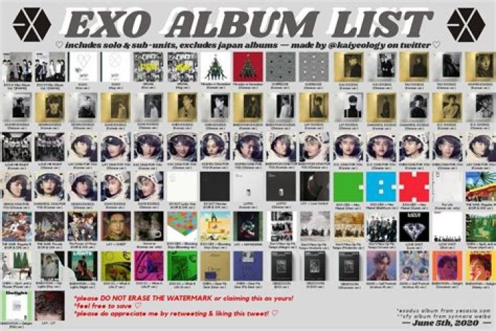 EXO: Year in Review - CelebMix