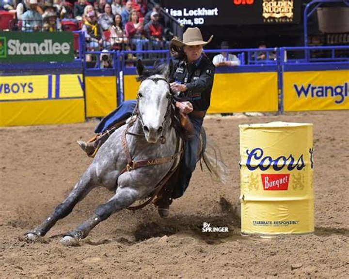 Fame | Lisa Lockhart net worth and salary income estimation Jan, 2024