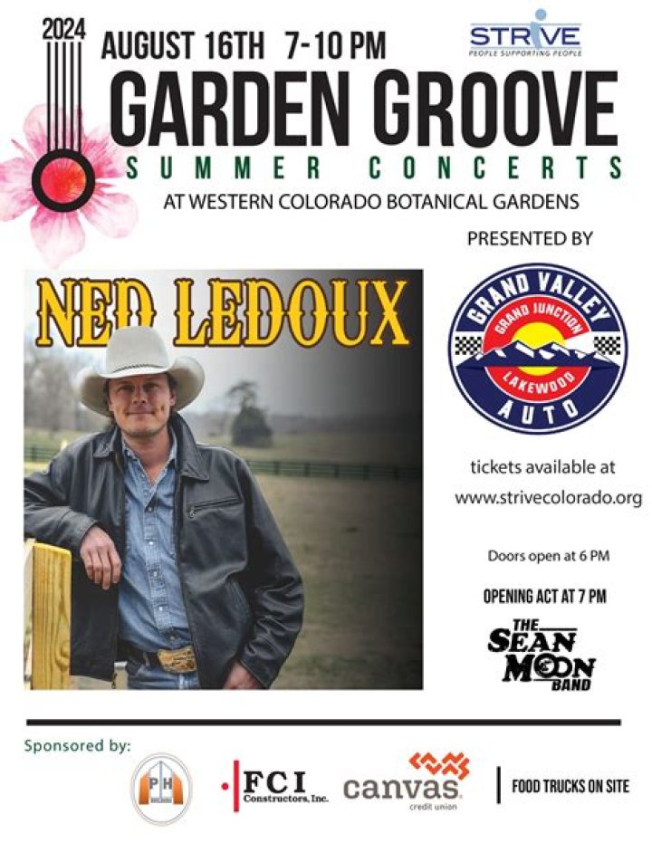 Fame | Ned LeDoux net worth and salary income estimation Jan, 2024