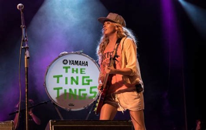 Fame | The Ting Tings net worth and salary income estimation Jan, 2024