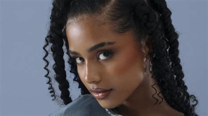 Fame | Tyla (South African singer) net worth and salary income estimation Jan, 2024