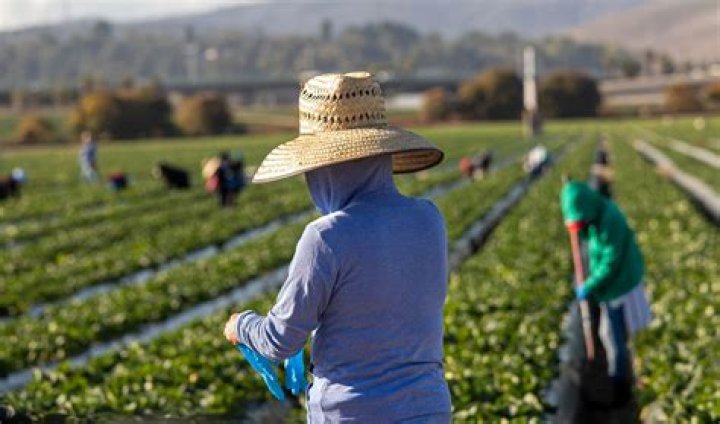 Fame | United Farm Workers net worth and salary income estimation Jan, 2024