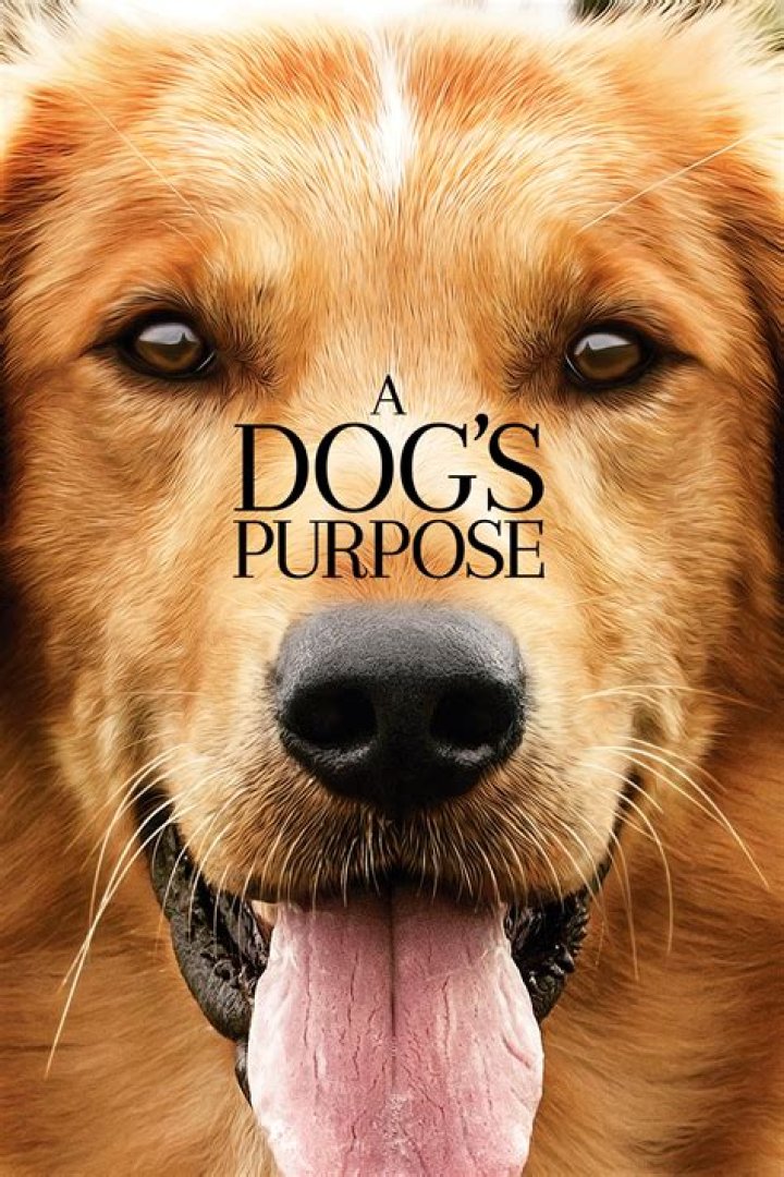 FILM REVIEW: A Dog's Purpose