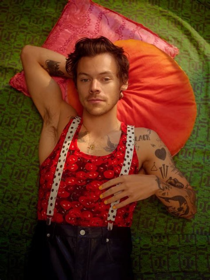 Harry Styles Possibly Signs with DawBell PR