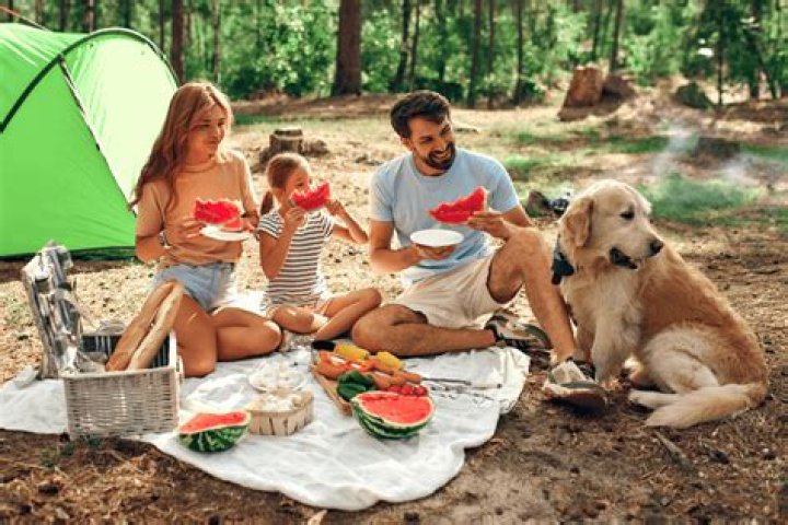 How to host a summer picnic with your besties