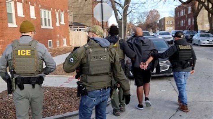 Icy Wyatt Was Detained On Accusations Of Assaulting A Police Officer