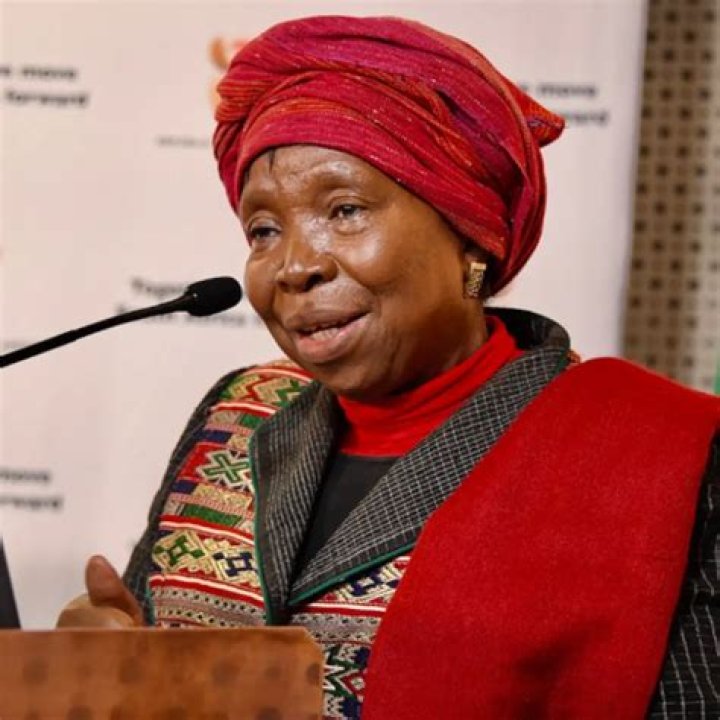 Nkosazana Dlamini-Zuma Biography: Husband, Children, Age, Net Worth, Salary, Sons, Daughters