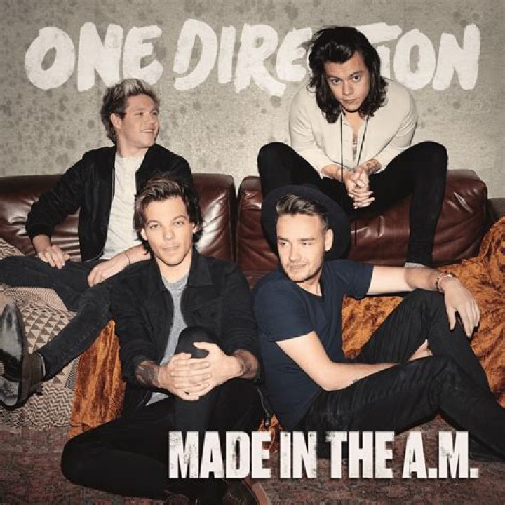 One Direction Released Their Fifth Album, "Made In The A.M.", 3 Years Ago