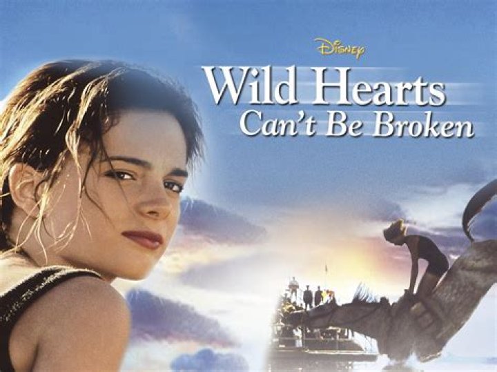 Pink releases 'Wild Hearts Can't Be Broken' music video