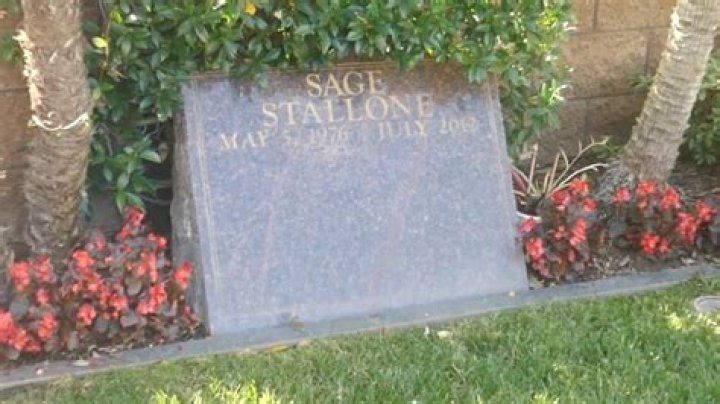 Starlin Wright: Sage Stallone’s Girlfriend