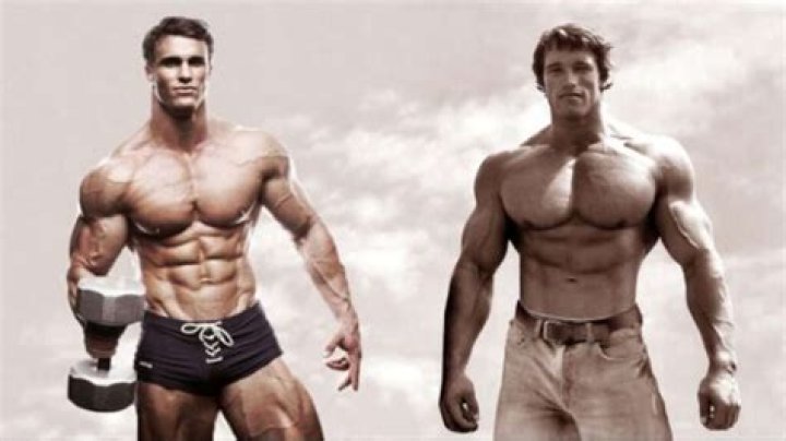 Taille Arnold Schwarzenegger