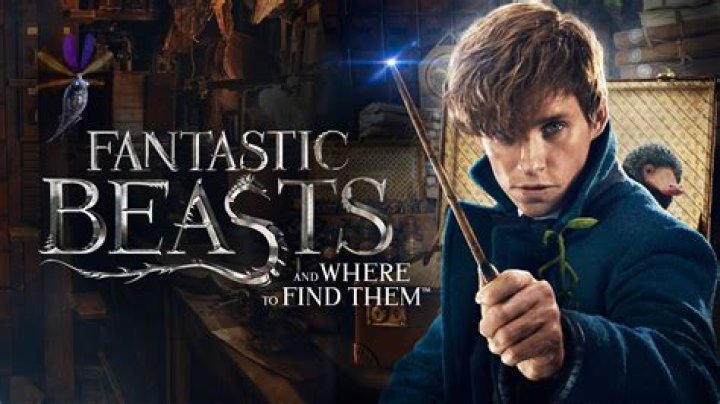 Watch the Fantastic Beasts and Where to Find Them trailer